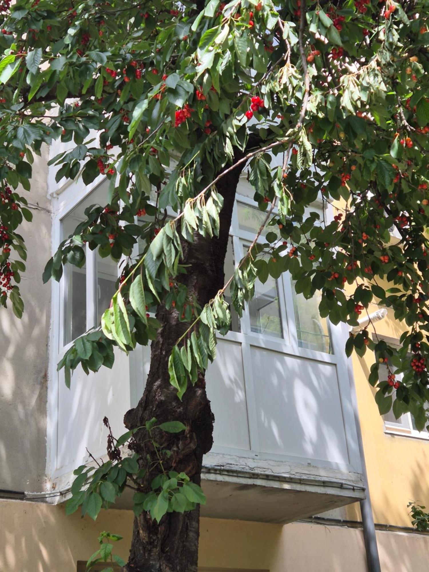 Apartament Rovine Krajowa Zewnętrze zdjęcie
